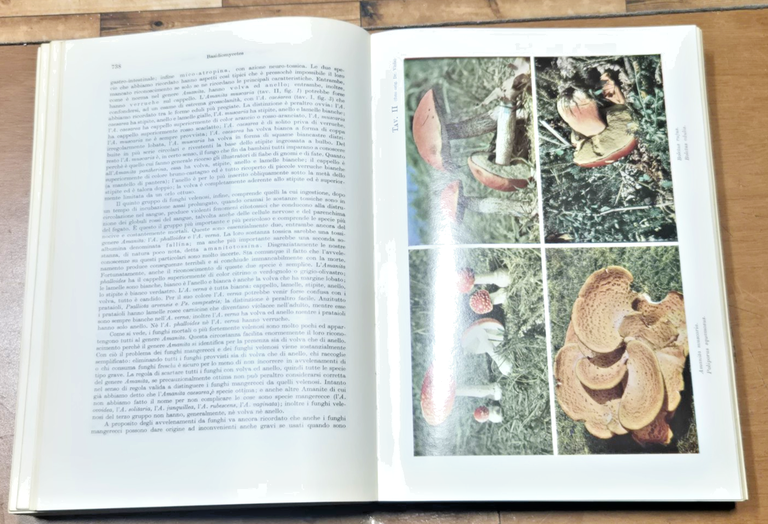 ELEMENTI DI BOTANICA di Sergio Tonzig Volume II 1968 Ambrosiana … | Immagine Gallery 5