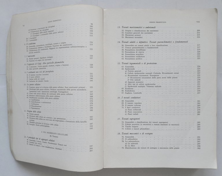ELEMENTI DI BOTANICA volume 1 parte I di Tonzig Marrè …