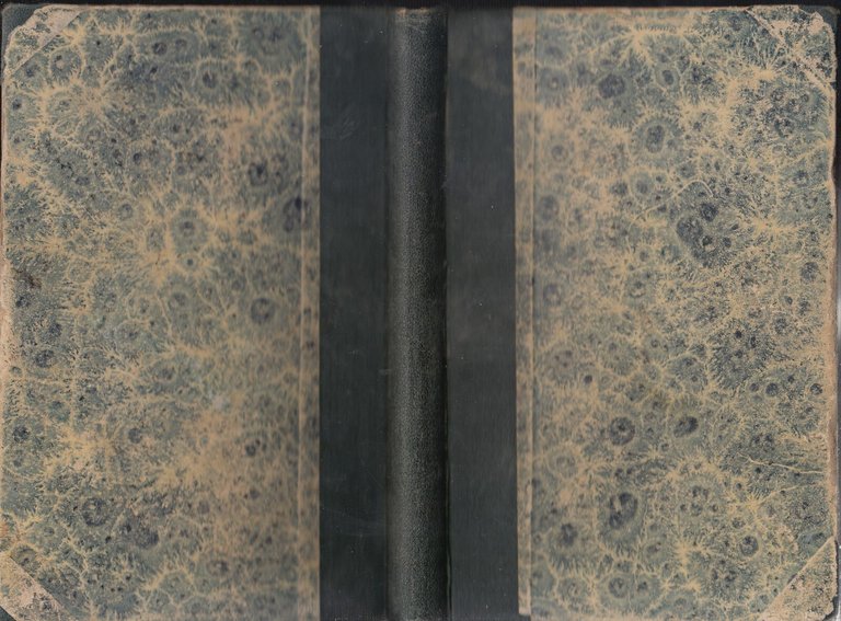 ELEMENTI DI GEOMETRIA di Enrico Nannei parte I planimetria 1890 …