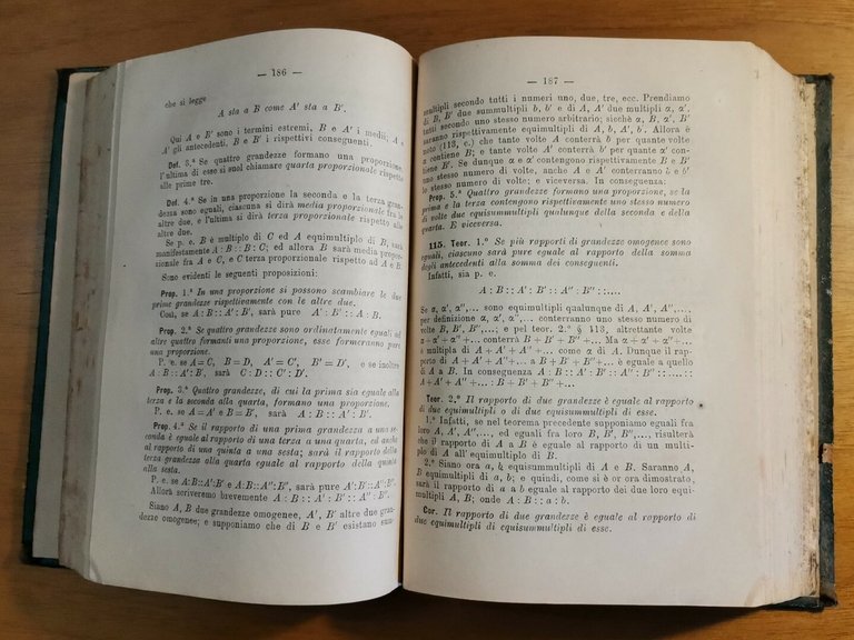 ELEMENTI DI GEOMETRIA Sannia e D'Ovidio 1888 Pellerano Libro Matematica …