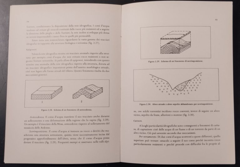 ELEMENTI DI GEOMORFOLOGIA Panizza 1978 Pitagora Libro manuale | Immagine Gallery 2