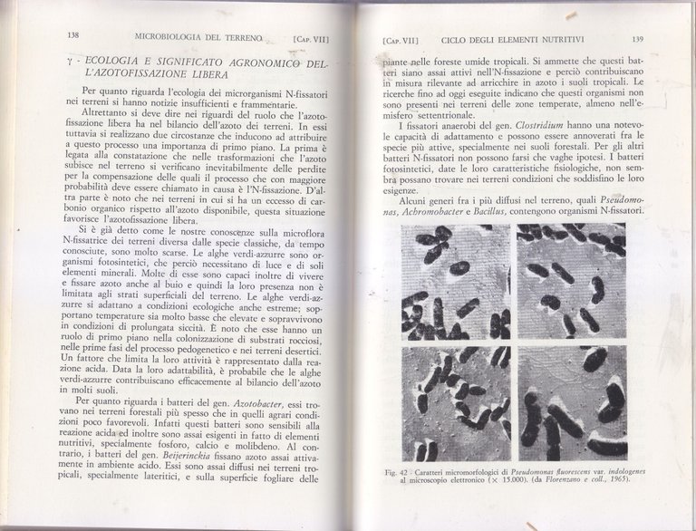 ELEMENTI DI MICROBIOLOGIA DEL TERRENO Florenzano 1972 REDA libro manuale …