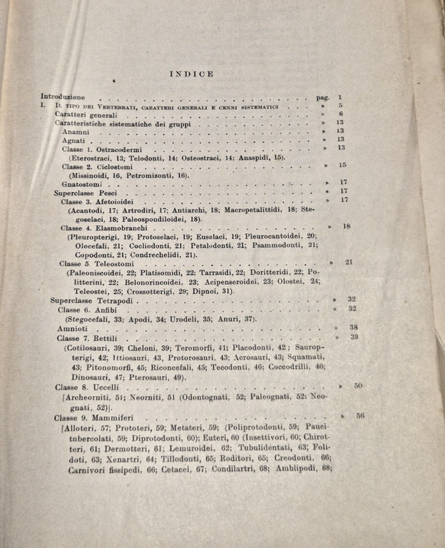 ELEMENTI DI MORFOLOGIA DEI VERTEBRATI di M Salfi 1950 Pellerano … | Immagine Gallery 4