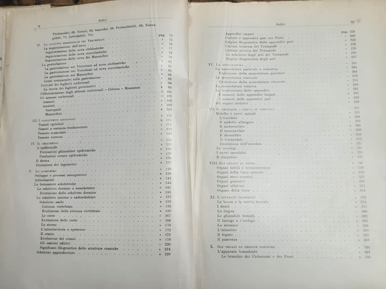ELEMENTI DI MORFOLOGIA DEI VERTEBRATI di M Salfi 1950 Pellerano … | Immagine Gallery 5