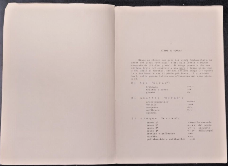 ELEMENTI DI PROSODIA E METRICA LATINA Paladini Castorina Adriatica Libro