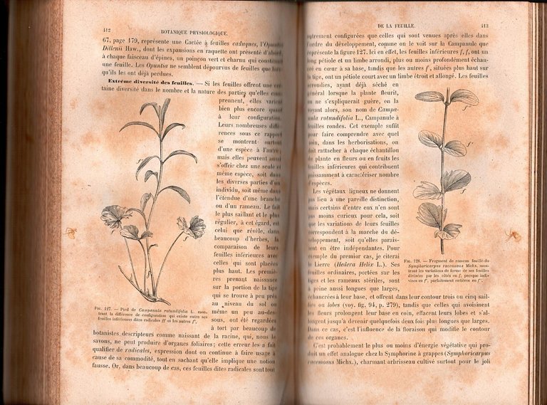 ELEMENTS DE BOTANIQUE di P Duchartre 1877 Bailliere Libro anatomie …