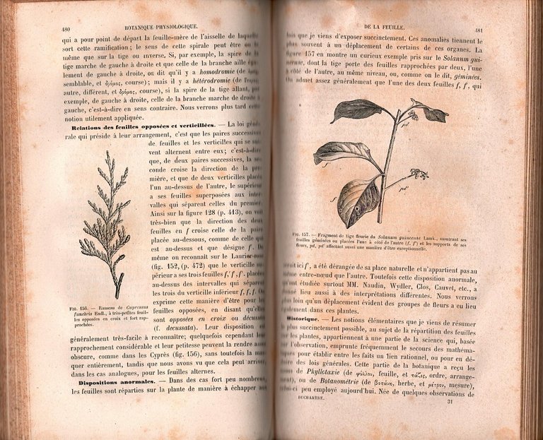 ELEMENTS DE BOTANIQUE di P Duchartre 1877 Bailliere Libro anatomie …