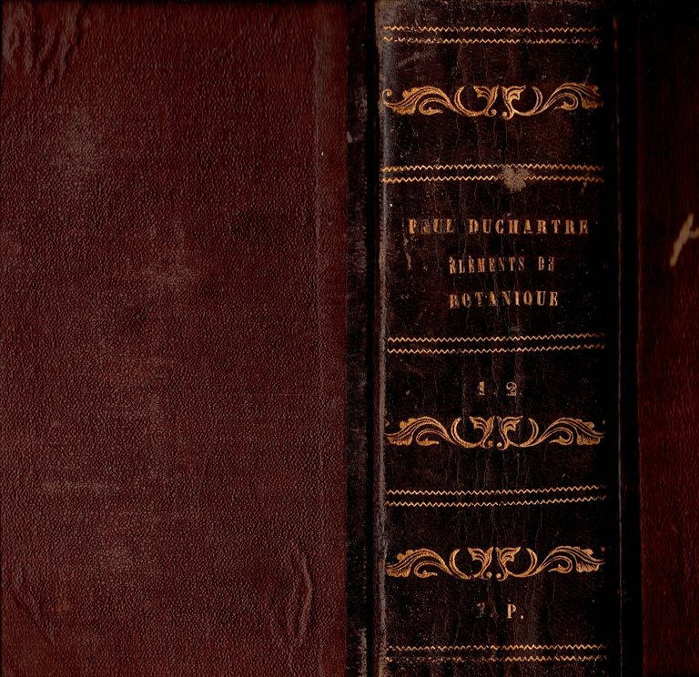 ELEMENTS DE BOTANIQUE di P Duchartre 1877 Bailliere Libro anatomie …