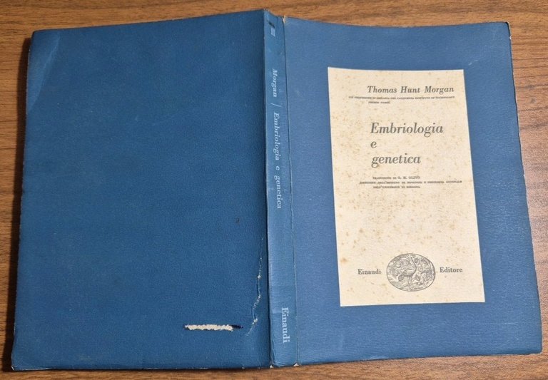 EMBRIOLOGIA E GENETICA di Thomas Hunt Morgan 1950 Einaudi Libro