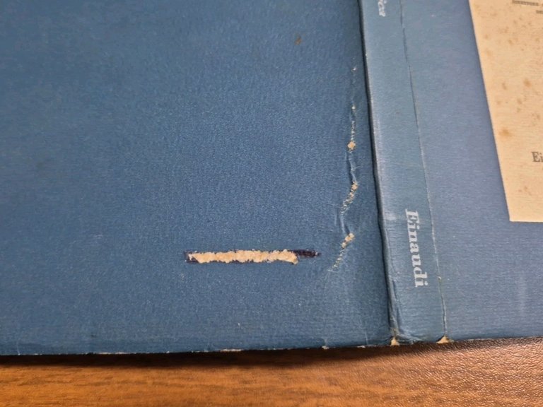 EMBRIOLOGIA E GENETICA di Thomas Hunt Morgan 1950 Einaudi Libro
