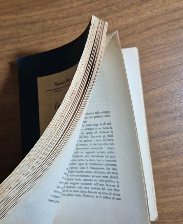 EMBRIOLOGIA E GENETICA di Thomas Hunt Morgan 1950 Einaudi Libro