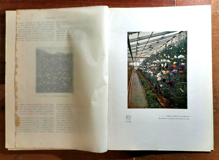 EMPORIUM 1915 annata completa rivista illustrata d'arte lettera giornale vintage