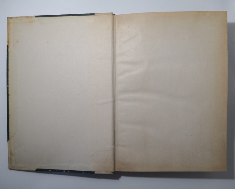 ENCICLOPEDIA DELLE MATEMATICHE ELEMENTARI Volume I parte I 1930 Hoepli …