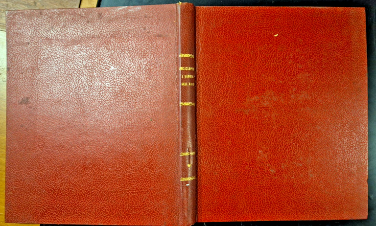 ENCICLOPEDIA E STORIA DELL'AUTO Anni 60 L'Europeo Libro