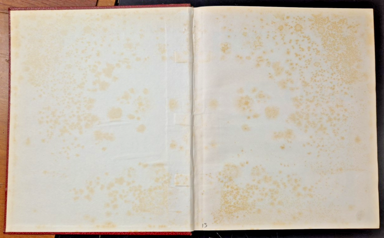 ENCICLOPEDIA E STORIA DELL'AUTO Anni 60 L'Europeo Libro