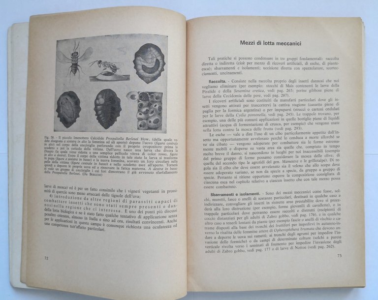 ENTOMOLOGIA AGRARIA di Filippo Venturi Edagricole Libro