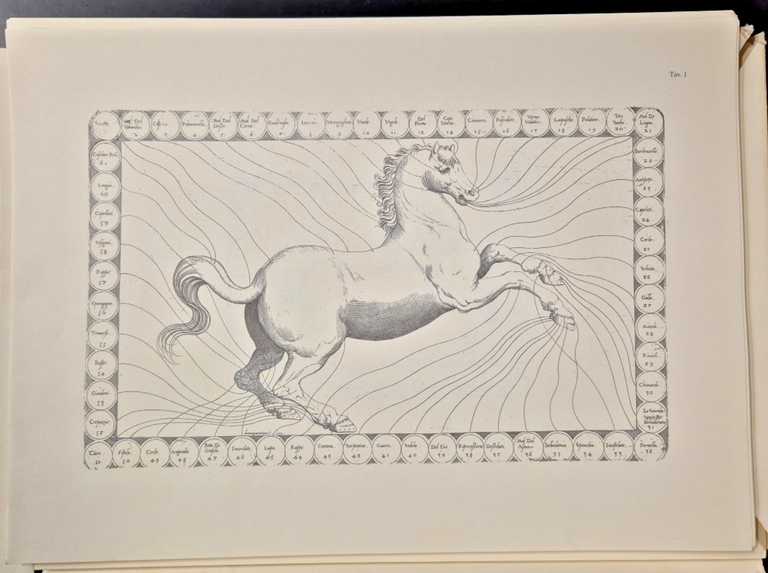 EQUILE LA NOBILTÁ DEL CAVALLO 1989 Reprint Edizioni Analisi 43 …