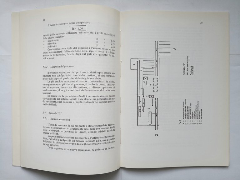 ERGONOMIA ORGANIZZAZIONE LAVORO INDUSTRIE SEGAGIONE LEGNO Sistema Tecnico Libro