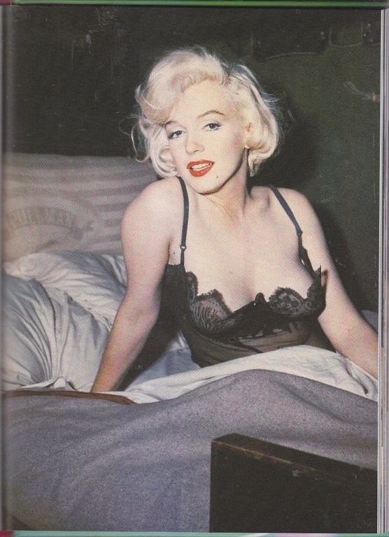 EROTIQUE BREASTS Busen libro di fotografie nudi femminili artistici 2001 …