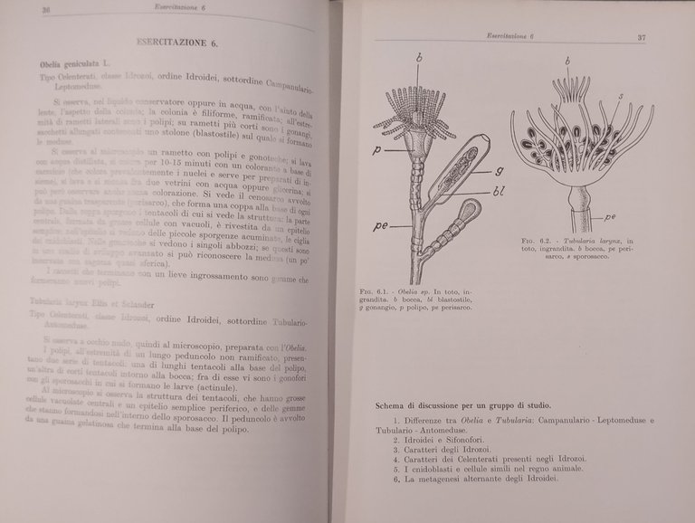 ESERCITAZIONI DI ZOOLOGIA di Sandra Pugno Silvio Ranzi 1970 Ambrosiana …