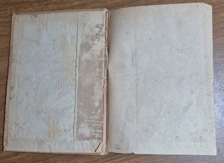 ESPRESSIONE ED ARTE di Andrea Gustarelli Volume I 1919 Trevisini …