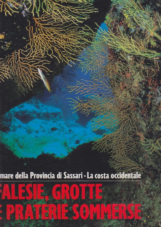 FALESIE GROTTE E PRATERIE SOMMERSE il mare della provincia di Sassari 1991 Libro