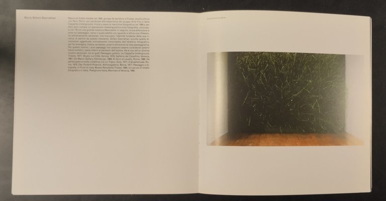 FANTASIMILIA DALLA FOTOCHIMICA ALLA FOTOELETTRONICA 1999 a cura di Zannier …