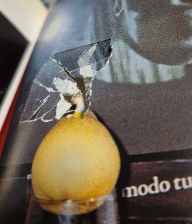 FANTASIMILIA DALLA FOTOCHIMICA ALLA FOTOELETTRONICA 1999 a cura di Zannier …