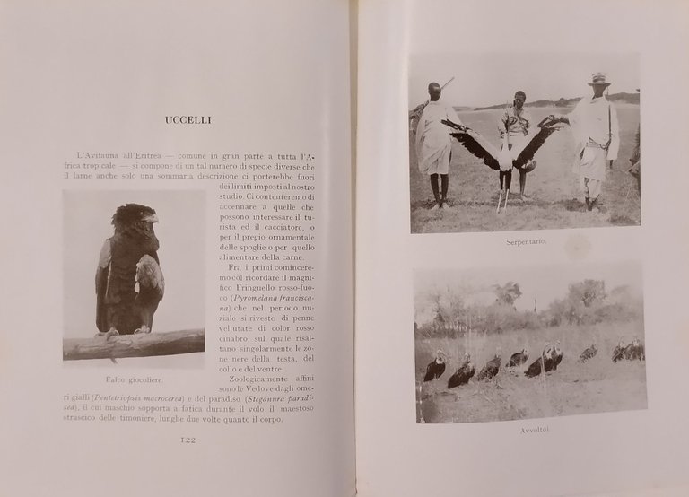 FAUNA E CACCIA di Vittorio Tedesco Zammarano 1930 Ministero delle …