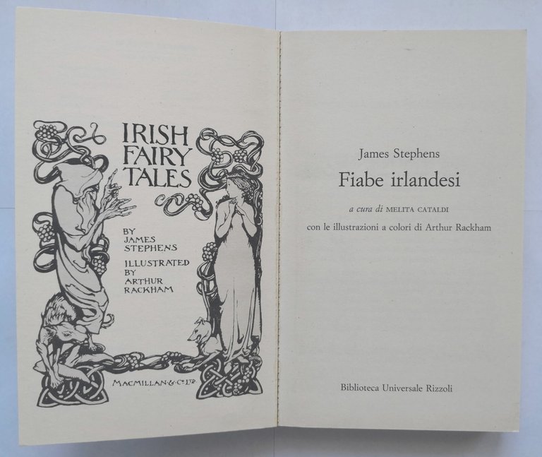 FIABE IRLANDESI di James Stephens 1987 Rizzoli Libro illustrato Arthur …
