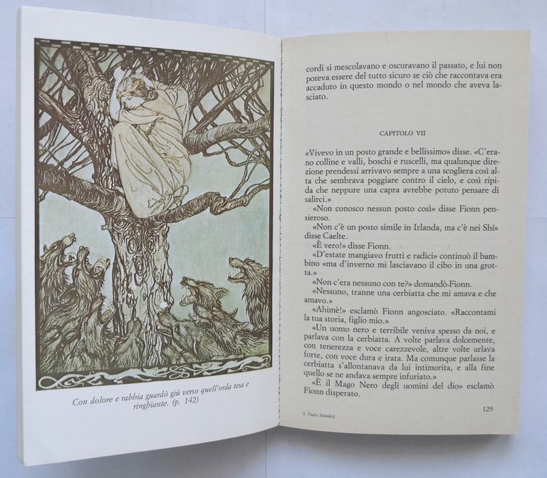FIABE IRLANDESI di James Stephens 1987 Rizzoli Libro illustrato Arthur …