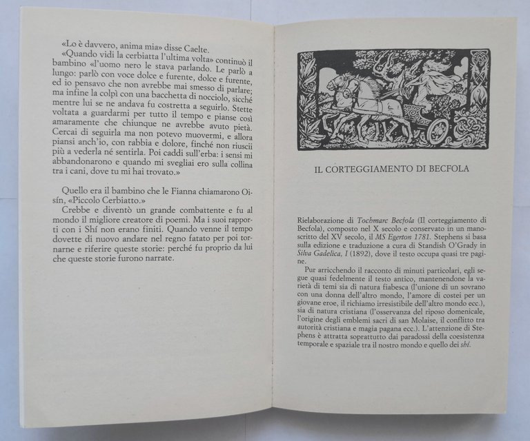 FIABE IRLANDESI di James Stephens 1987 Rizzoli Libro illustrato Arthur …
