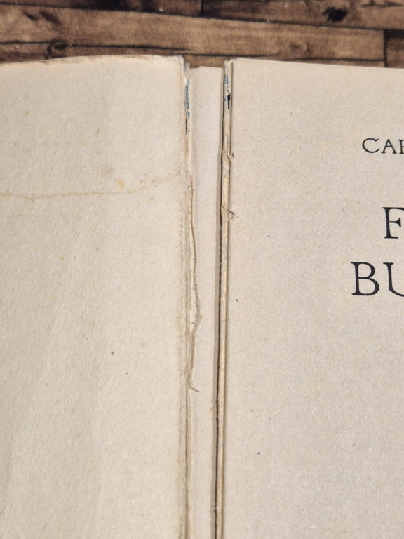 FIAMME BUGIARDE di Carola Prosperi 1951 Rizzoli Romanzo Libro | Immagine Gallery 5