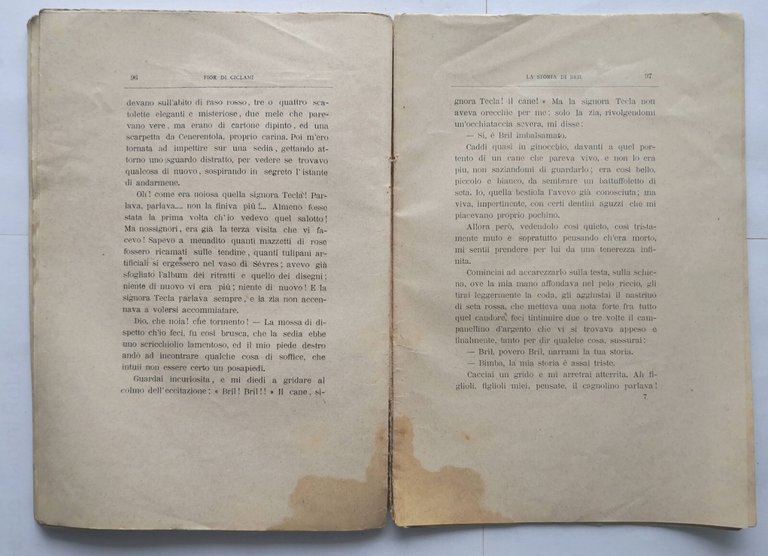 FIOR DI CICLAMI racconti per fanciulli Angelina Brocca 1894 Libro …