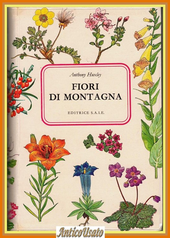 FIORI DI MONTAGNA di Anthony Huxley 1969 Editrice SAIE Libro | Immagine Gallery 1