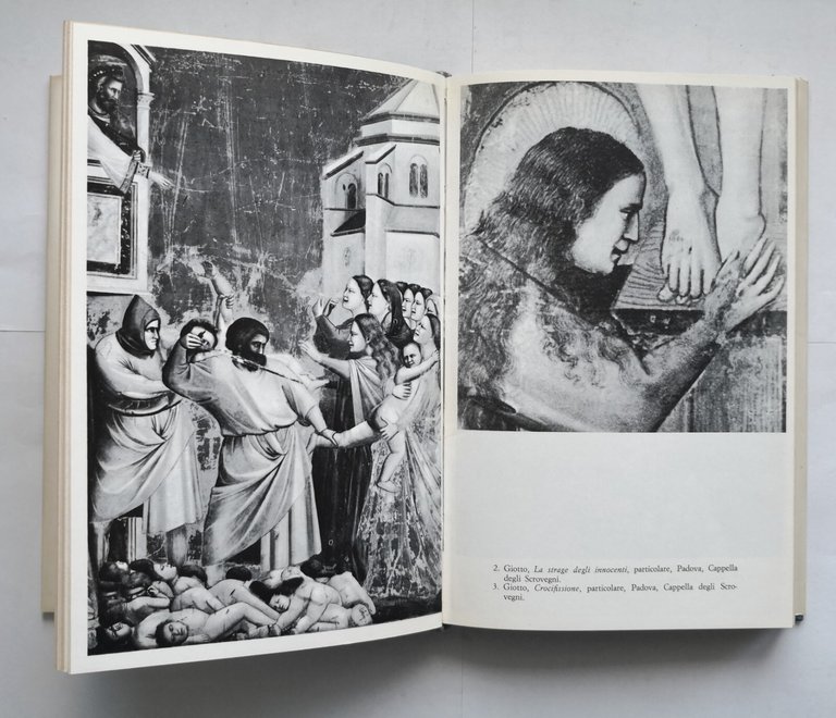 FIRENZE di Emilio Cecchi 1969 Mondadori libro illustrato arte storia