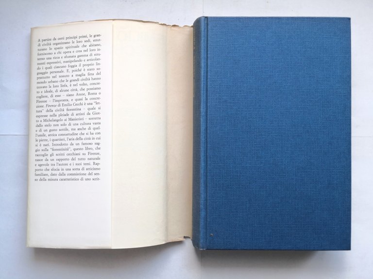 FIRENZE di Emilio Cecchi 1969 Mondadori libro illustrato arte storia