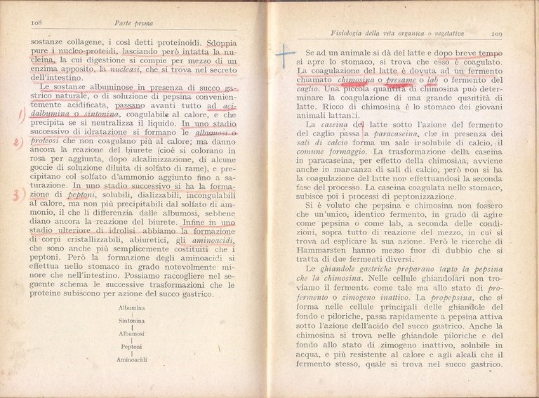 FISIOLOGIA di Angelo Pugliese 1925 Hoepli Manuali libro medicina illustrato