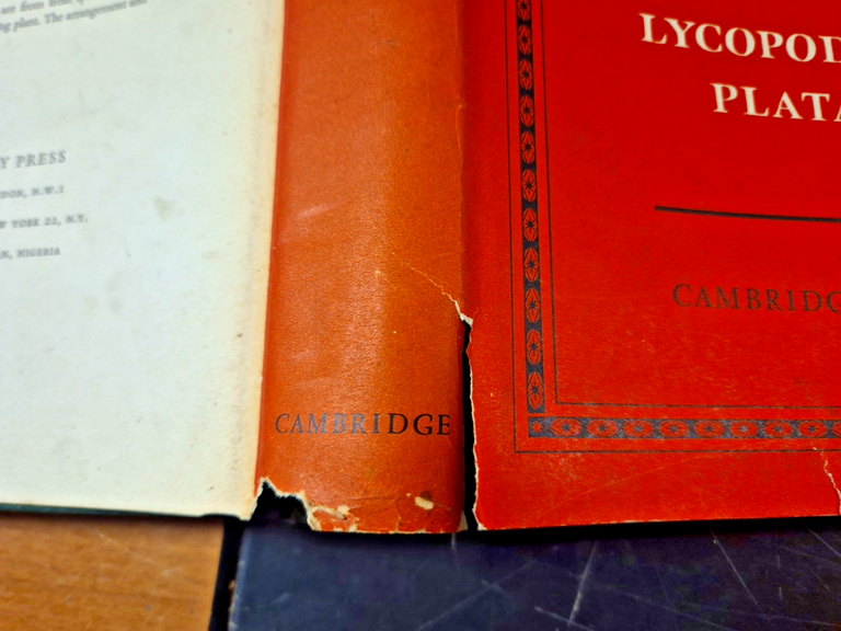 FLORA EUROPEA Volume 1 LYCOPODIACEAE PLATANACEAE 1964 Cambridge universi Libro