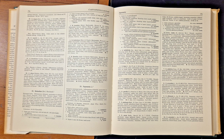 FLORA EUROPEA Volume 1 LYCOPODIACEAE PLATANACEAE 1964 Cambridge universi Libro