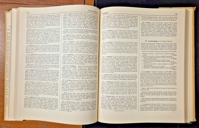 FLORA EUROPEA Volume 1 LYCOPODIACEAE PLATANACEAE 1964 Cambridge universi Libro