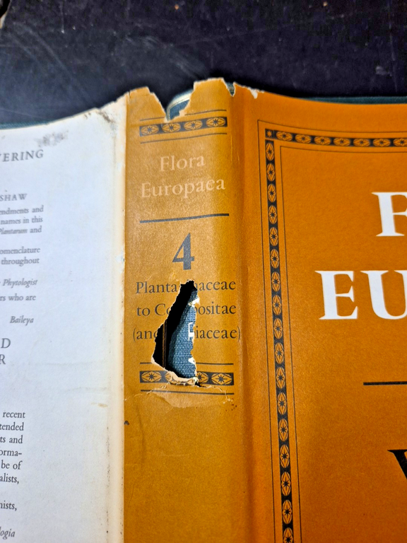 FLORA EUROPEA Volume 4 PLATNAGINACEAE COMPOSITAE 1976 Cambridge University Libro