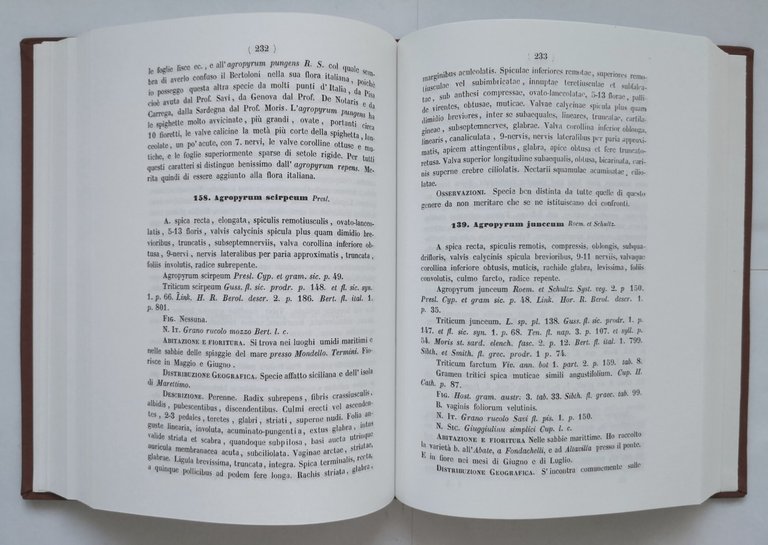 FLORA PALERMITANA di Filippo Parlatore 1992 Libro reprint edizione del …