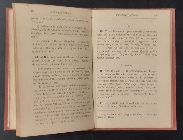 FONOLOGIA ITALIANA di Lorenzo Stoppato 1887 Hoepli Libro manuale
