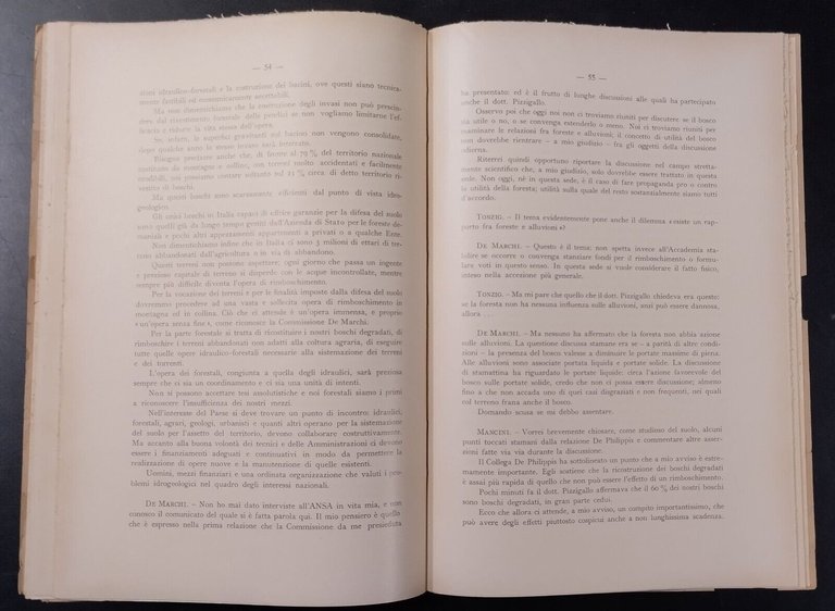 FORESTE E ALLUVIONI 1971 Accademia Nazionale Dei Lincei Libro tavola …