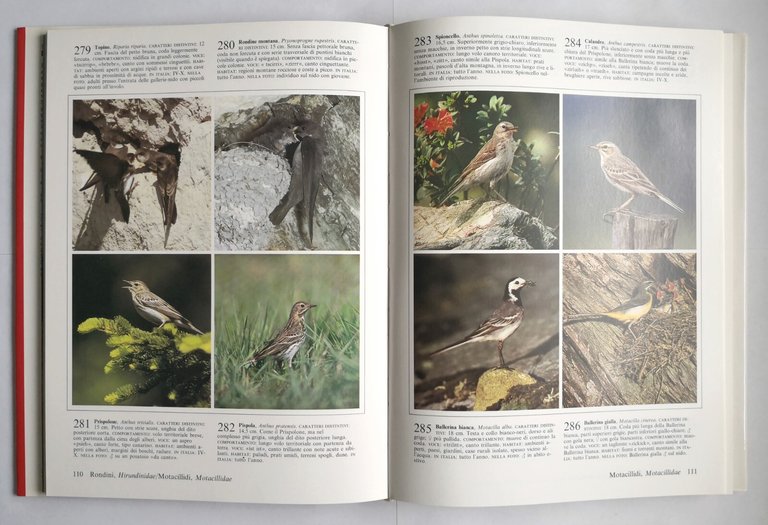 FOTOATLANTE DEGLI UCCELLI D'EUROPA di Jurgen Nicolai 1986 Zanichelli Libro