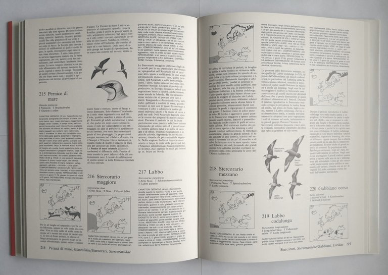 FOTOATLANTE DEGLI UCCELLI D'EUROPA di Jurgen Nicolai 1986 Zanichelli Libro