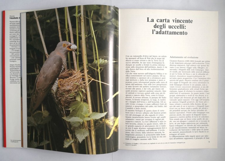 FOTOATLANTE DEGLI UCCELLI D'EUROPA di Jurgen Nicolai 1986 Zanichelli Libro