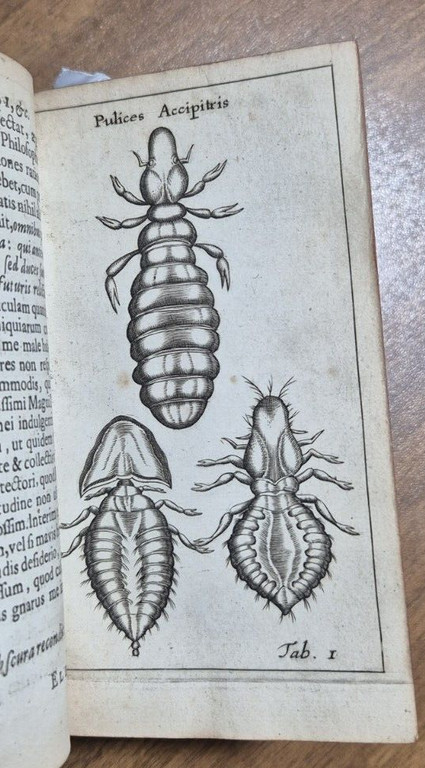 FRANCISCI REDI OPUSCULORUM + EXPERIMENTA + DE ADMIRABILI VIPERA 1685 …