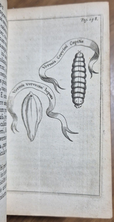 FRANCISCI REDI OPUSCULORUM + EXPERIMENTA + DE ADMIRABILI VIPERA 1685 …